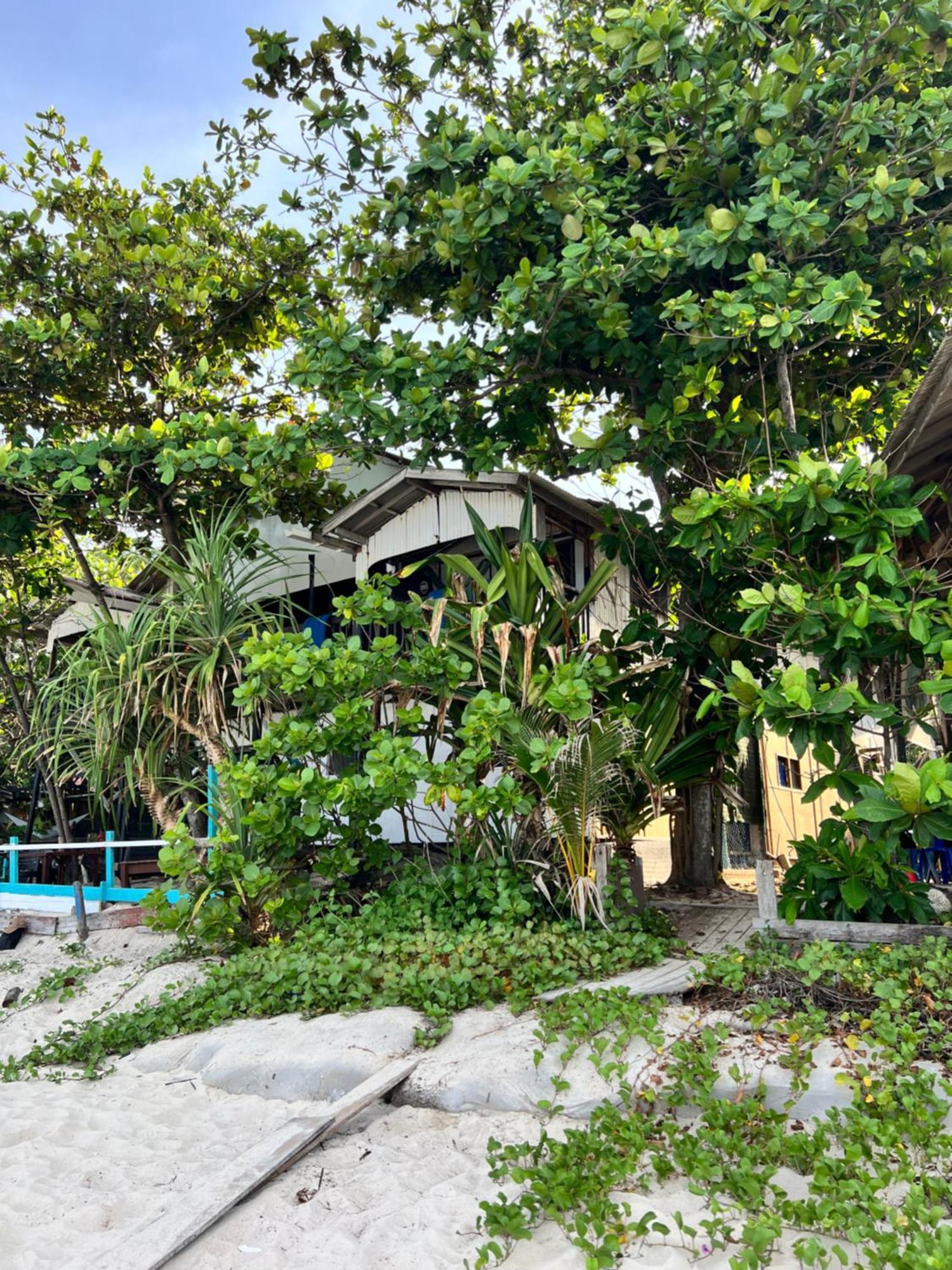 פרהנטיאן איילנד Ohlala Guesthouse מראה חיצוני תמונה